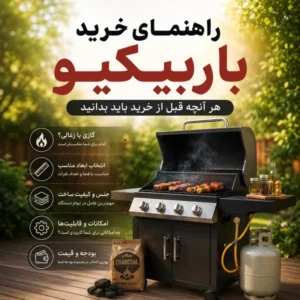 راهنمای خرید باربیکیو